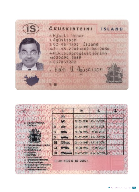 Télécharger Islande Driving License maquette
