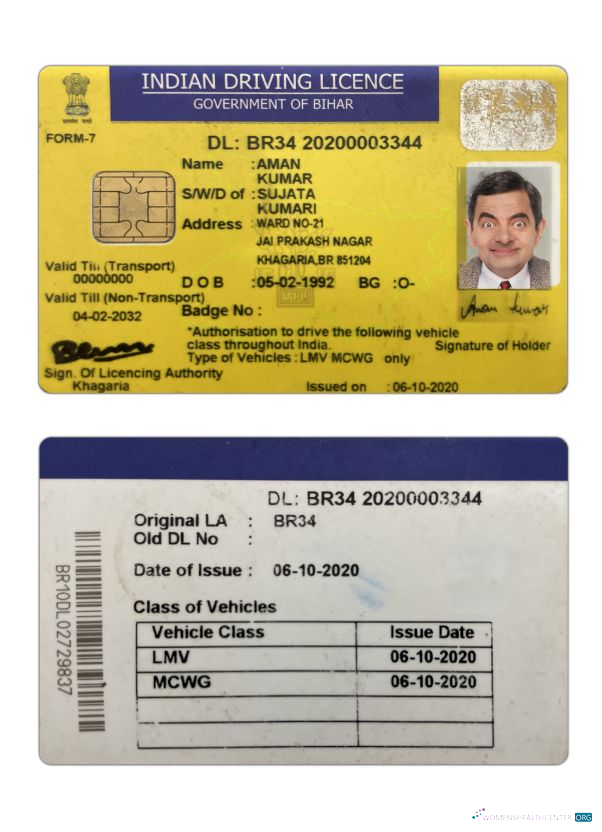 Télécharger Inde Bihar État Driving License aperçu