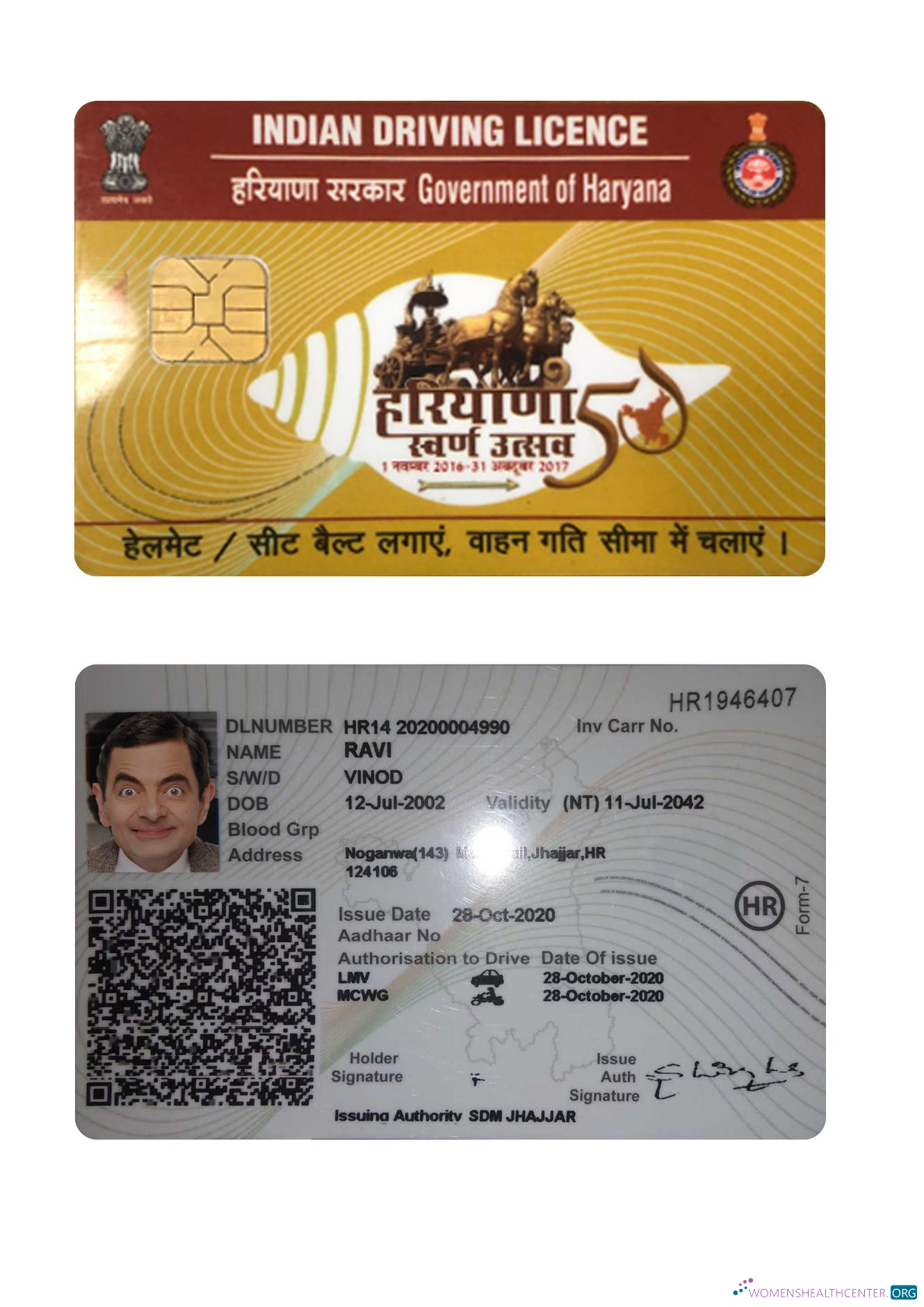 Télécharger Inde Haryana État Driving License modèle