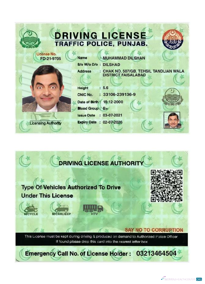 Télécharger Inde Punjab Driving License 2021 Présent aperçu