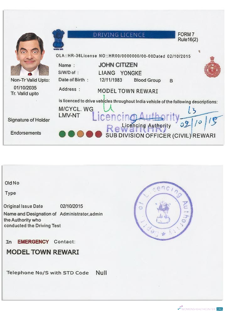 Télécharger Inde Driving License Version 5 aperçu