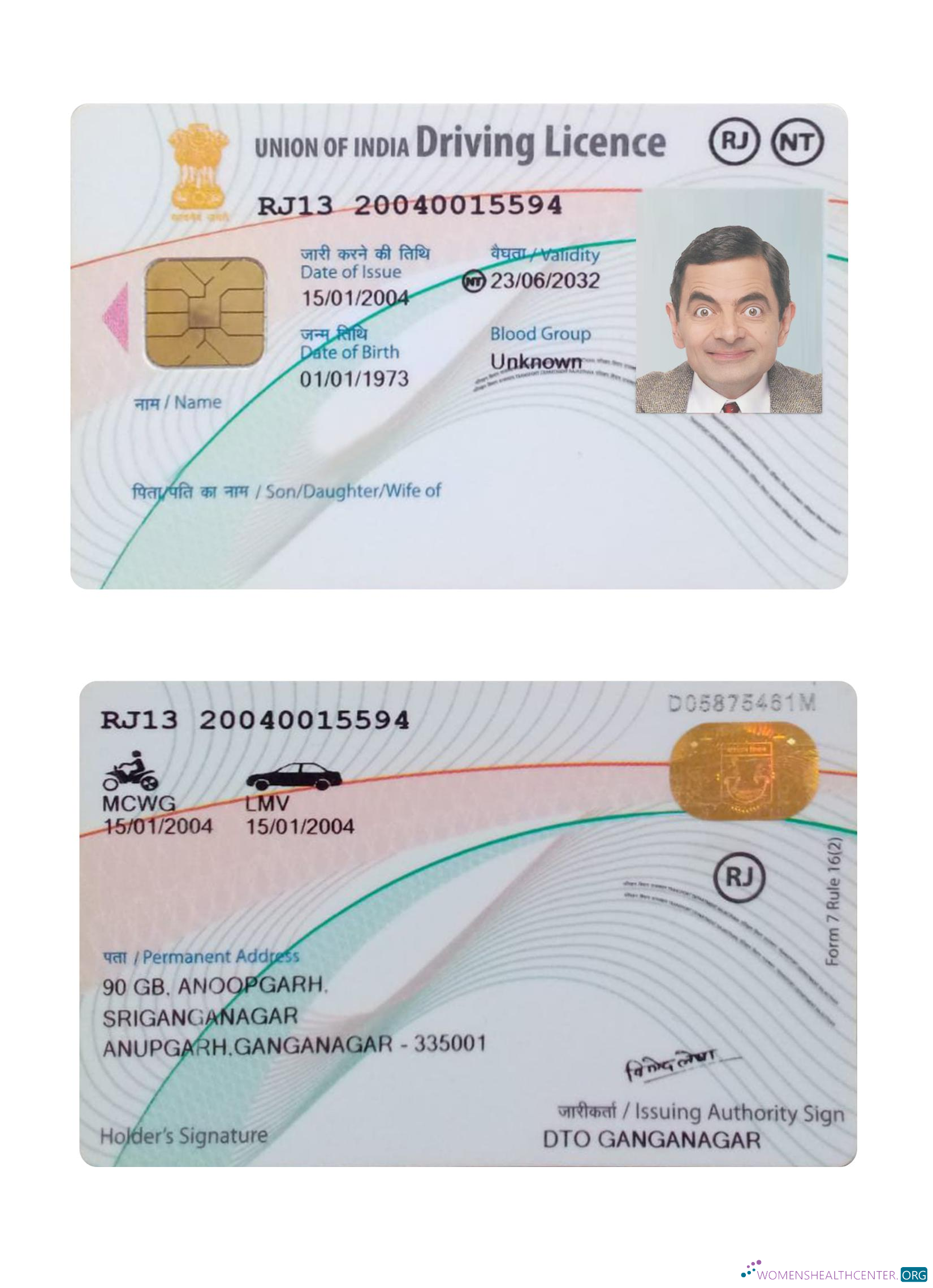 Télécharger Inde Union Driving License Nouveau Version aperçu