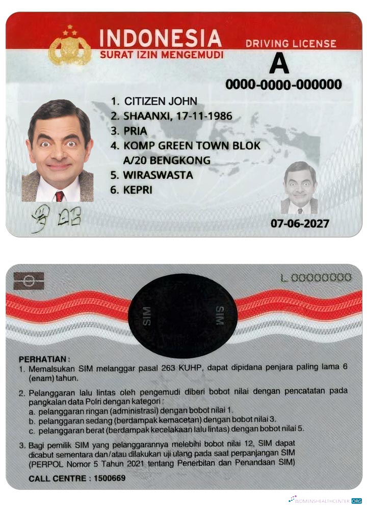 Télécharger Indonésie Driving License (2019 – Présent) design