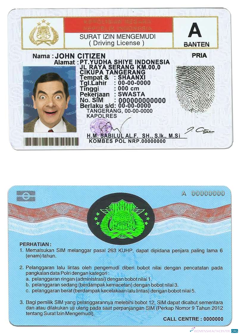 Télécharger Indonésie Driving License échantillon