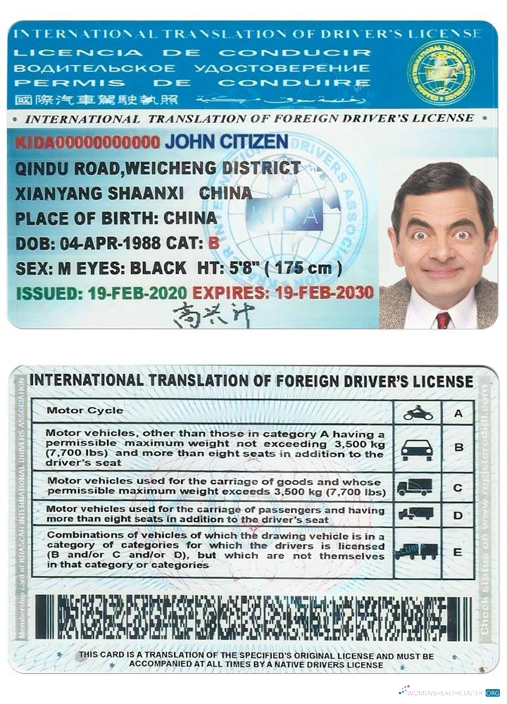Télécharger International Translation de Drivers License aperçu