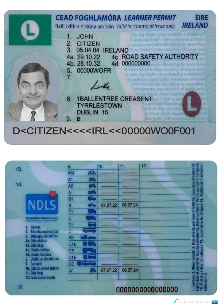 Télécharger Irlande Driving License (learner Permit) 2022 Présent modèle