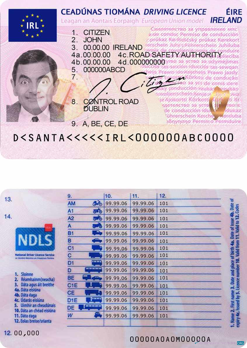 Télécharger Irlande Driving License maquette