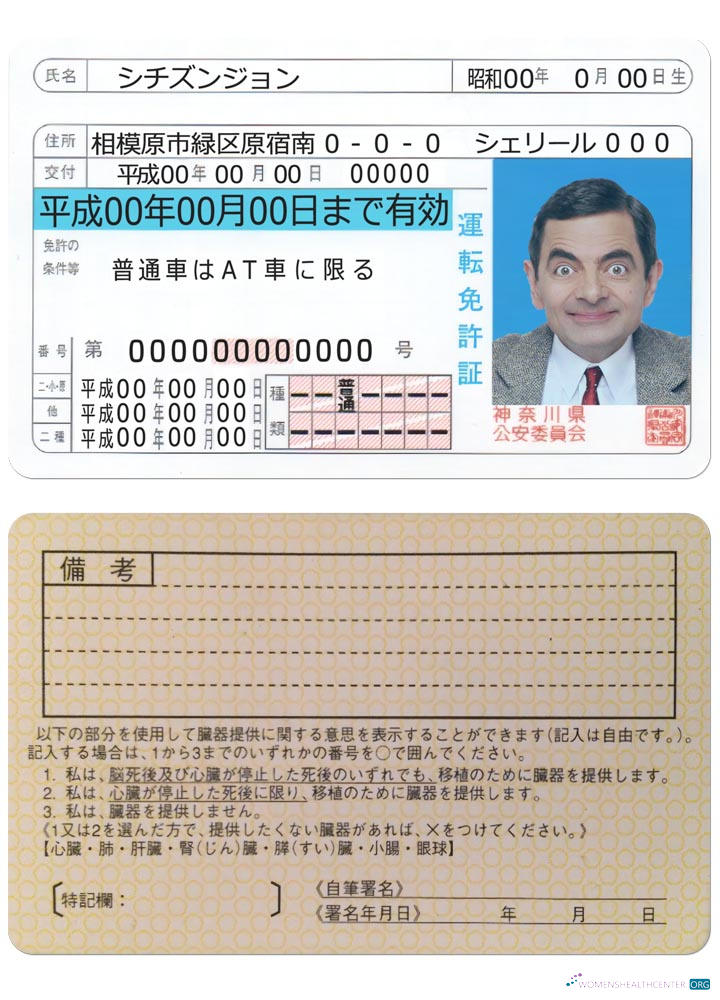 Télécharger Japon Driving License Version 2 échantillon