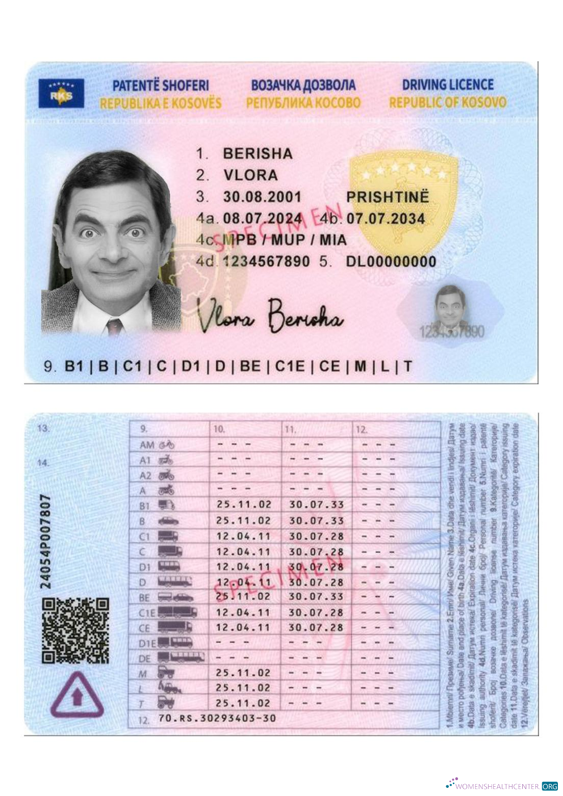 Télécharger Kosovo Driving License 2024 Présent maquette