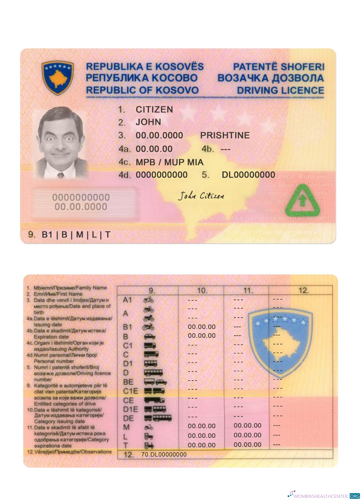 Télécharger Kosovo Driving License modèle