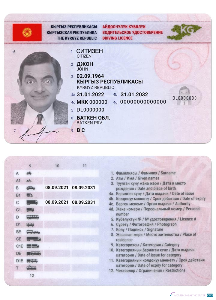 Télécharger Kirghizistan Driving License 2019 Présent échantillon