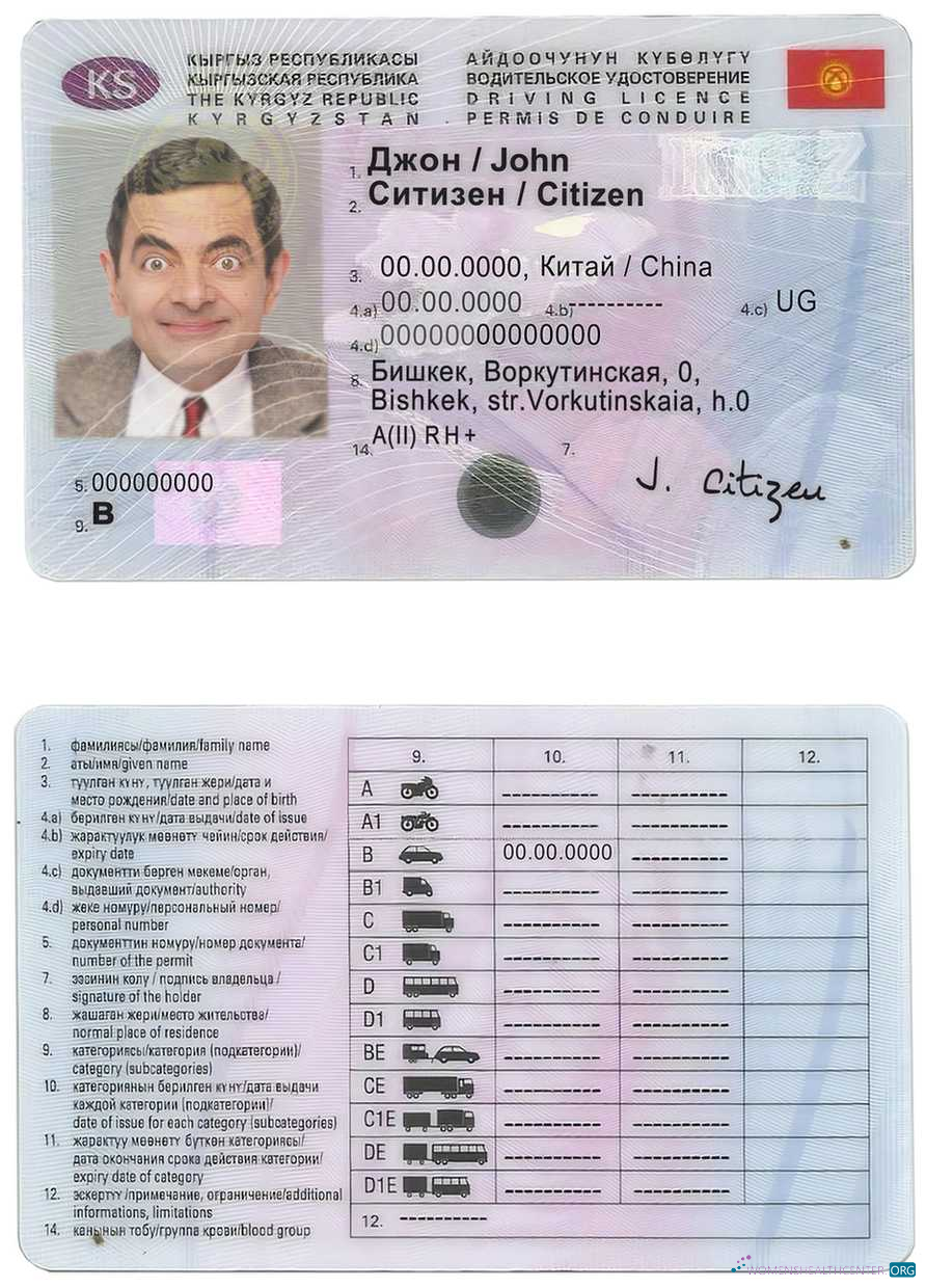 Télécharger Kirghizistan Driving License design