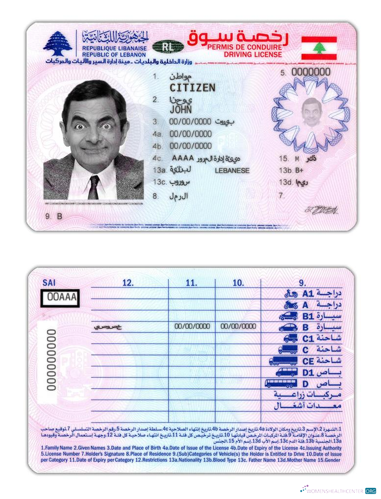 Télécharger Liban Driving License échantillon