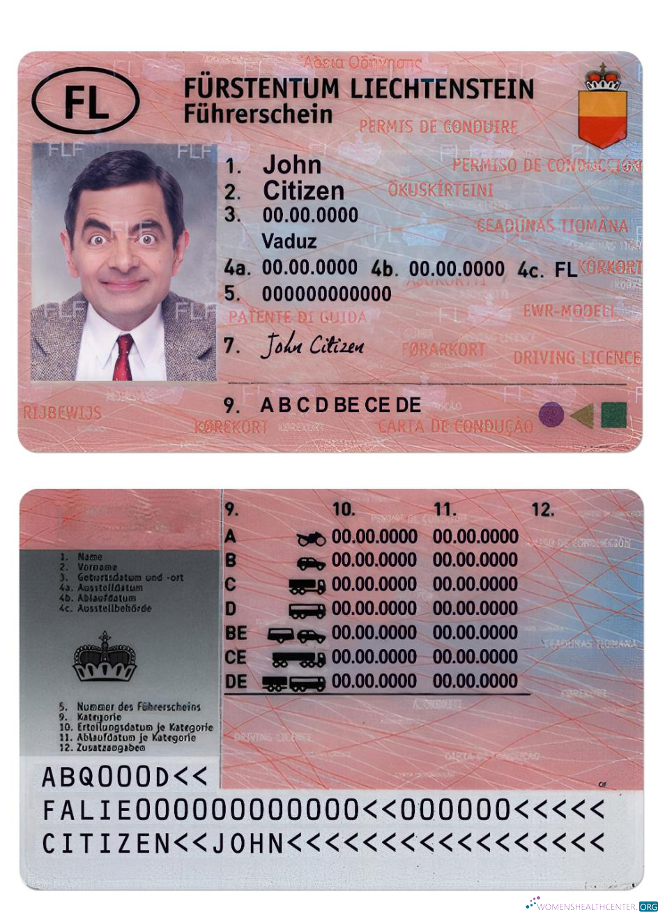 Télécharger Liechtenstein Driving License maquette