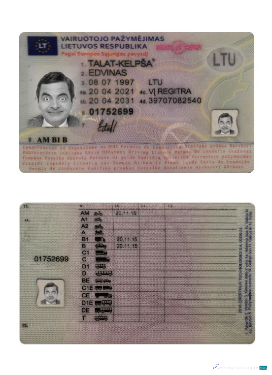 Télécharger Lituanie Driving License 2021 Présent aperçu