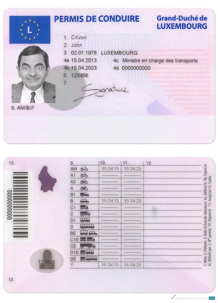 Télécharger Luxembourg Driving License maquette