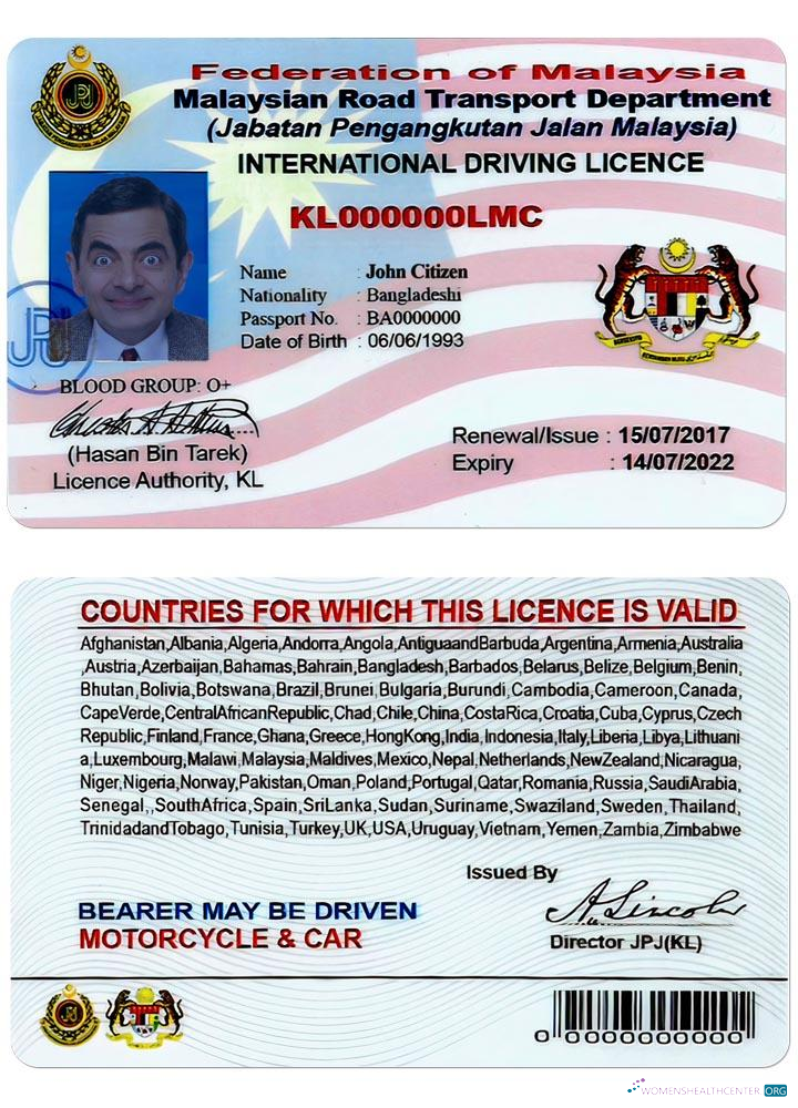 Télécharger Malaisie Driving License Version 2 aperçu
