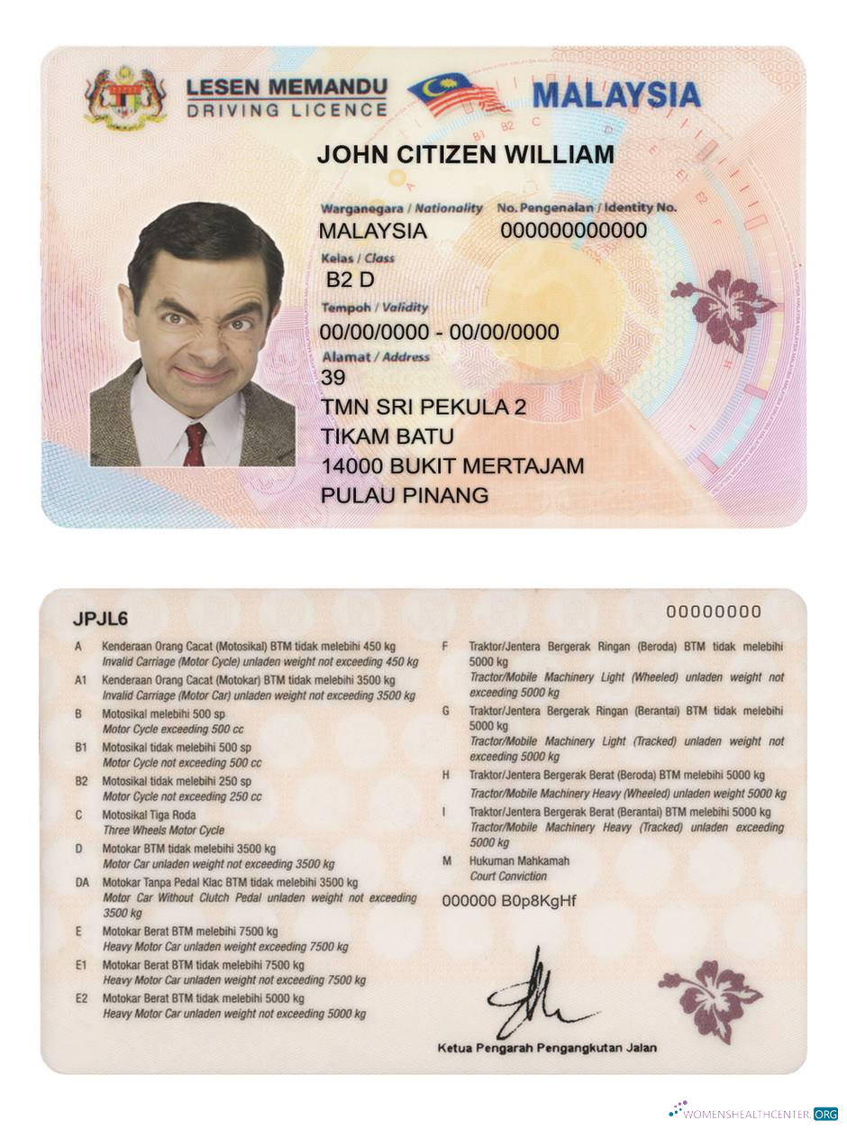 Télécharger Malaisie Driving License maquette