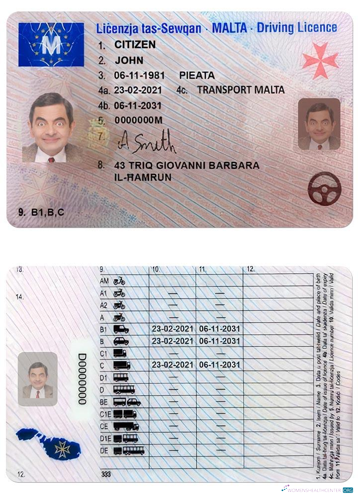 Télécharger Malte Driving License design