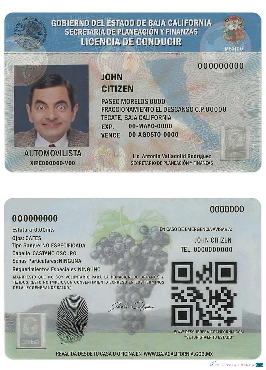 Télécharger Mexique Baja California Driving License maquette