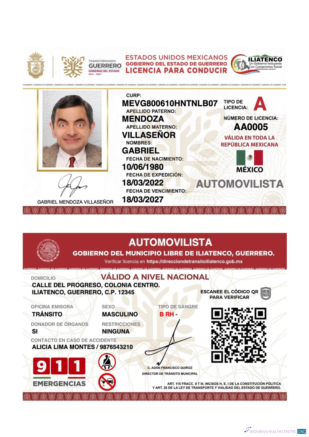 Télécharger Mexique Guerrero État Driving License aperçu