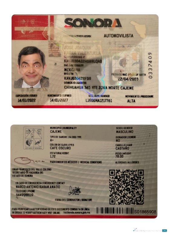 Télécharger Mexique Sonora État Driving License aperçu