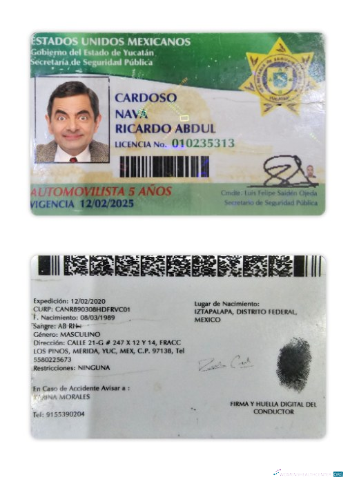 Télécharger Mexique Yucatan État Driving License maquette