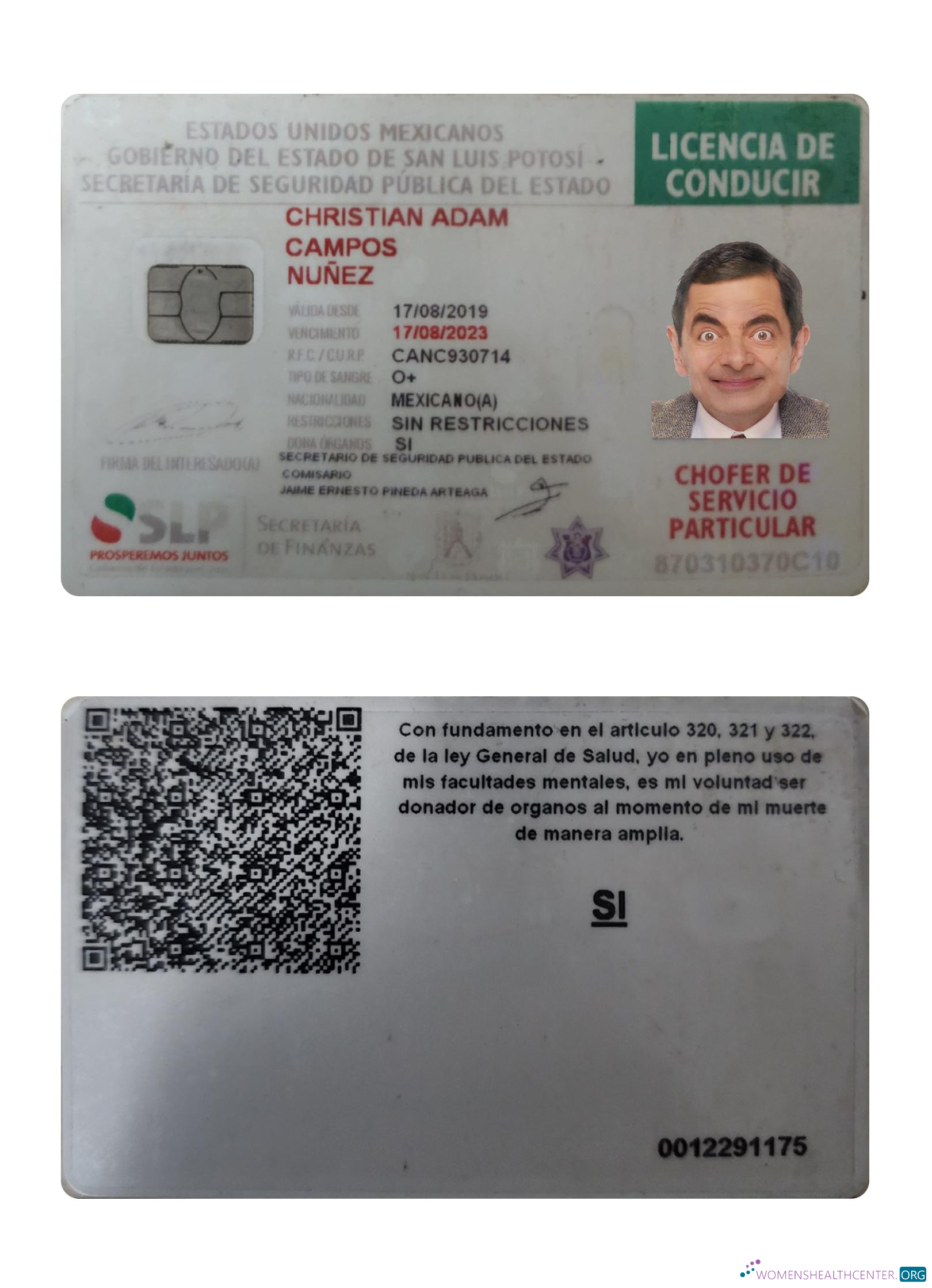 Télécharger Mexique Driving License 2019 Présent aperçu