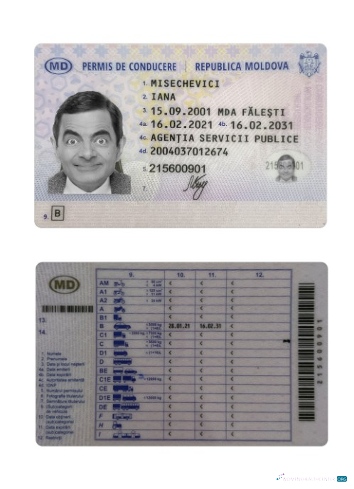 Télécharger Moldavie Driving License 2021 Présent modèle