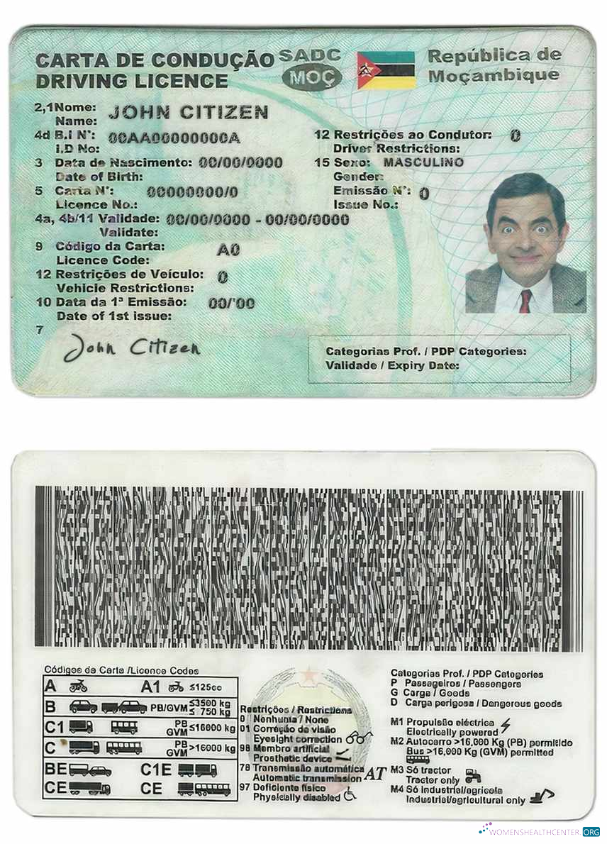Télécharger Mozambique Driving License aperçu