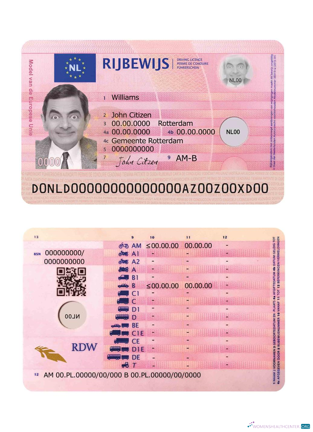 Télécharger Pays-Bas Driving License 2014 Présent aperçu