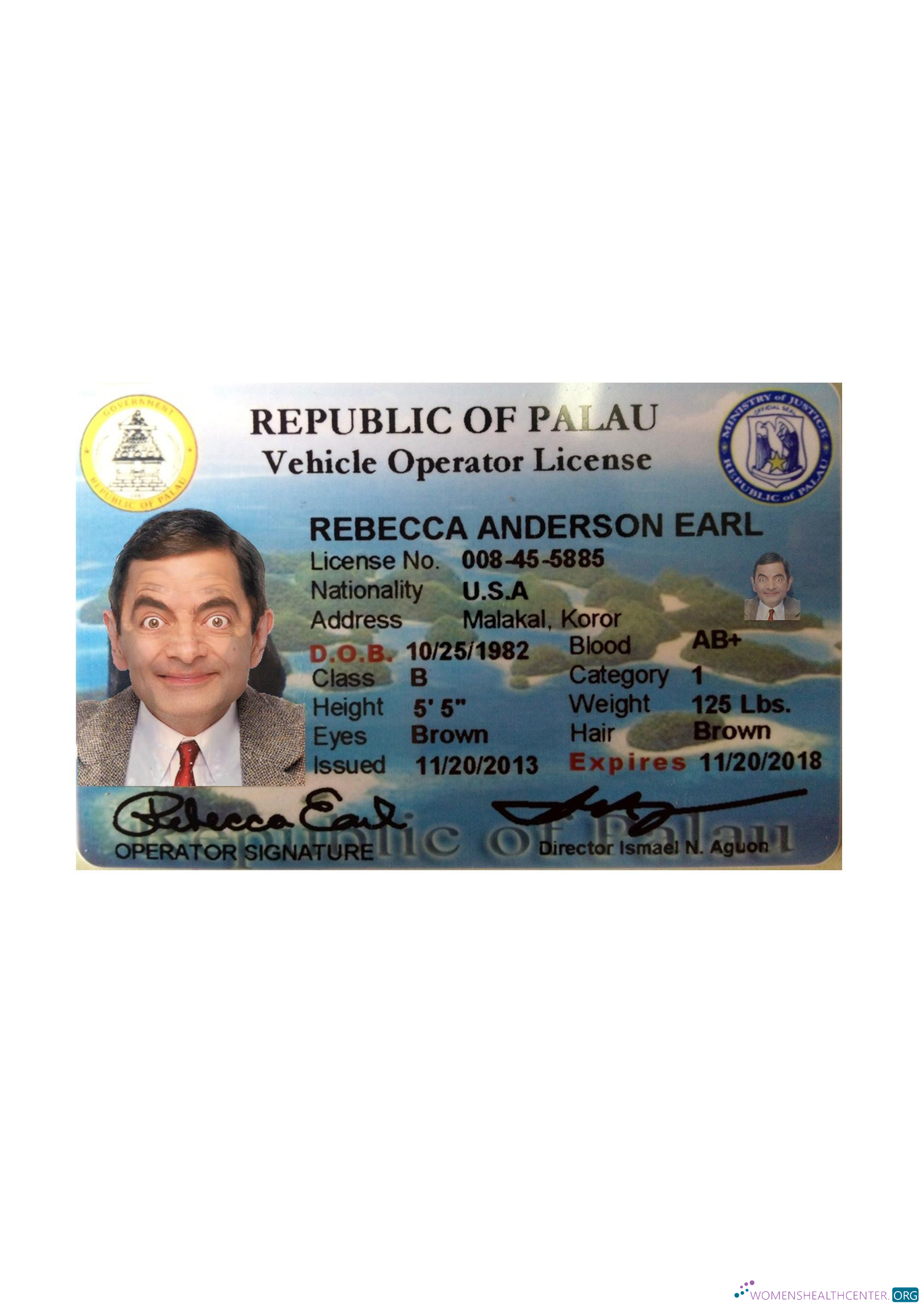 Télécharger Palau Driving License Recto Side aperçu
