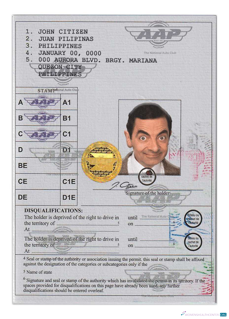 Télécharger Philippines International Driving Permit(Vienna Convention Format) maquette