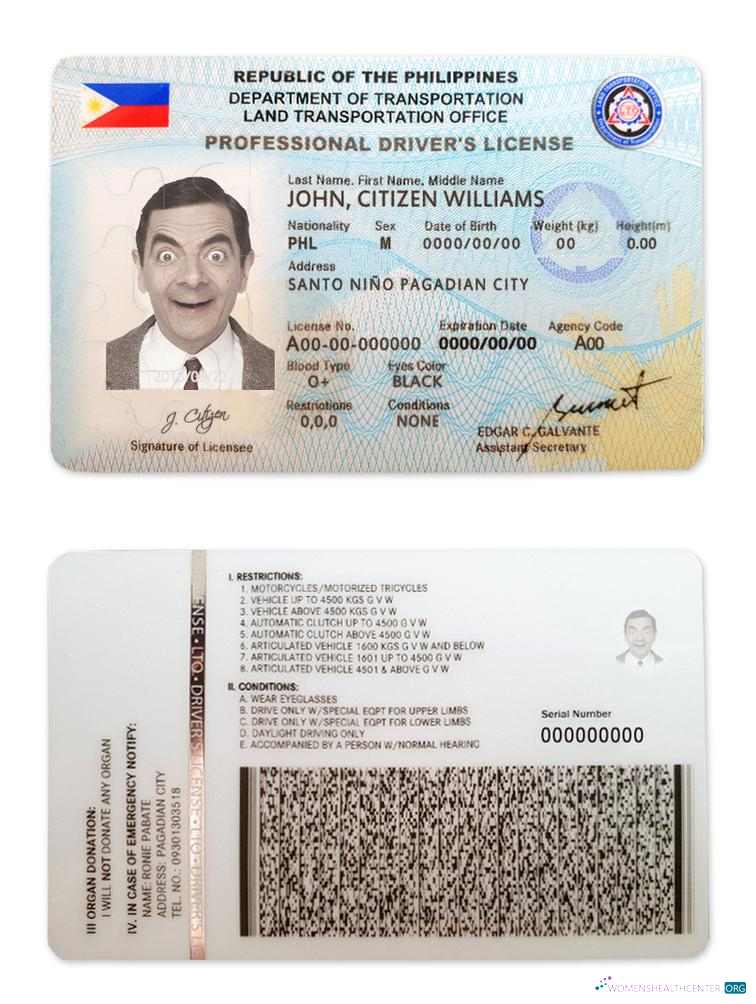 Télécharger Philippines Driving License aperçu