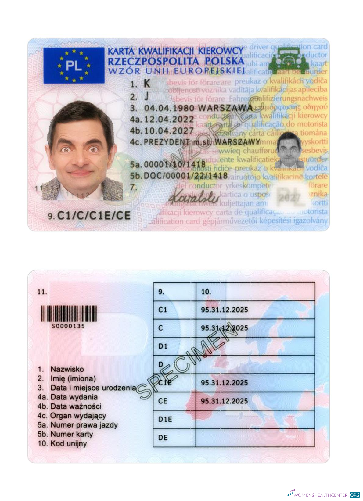 Télécharger Pologne Driving License 2022 Présent design
