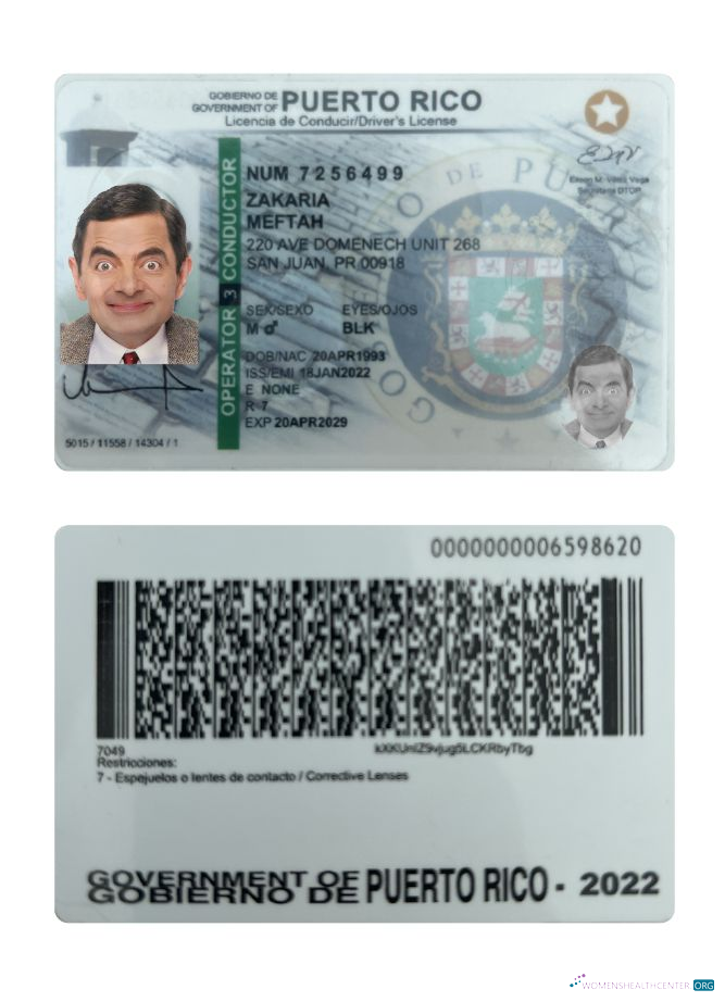 Télécharger Puerto Rico Driving License 2022 Présent maquette