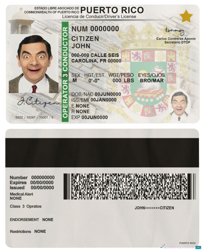 Télécharger Puerto Rico Driving License maquette