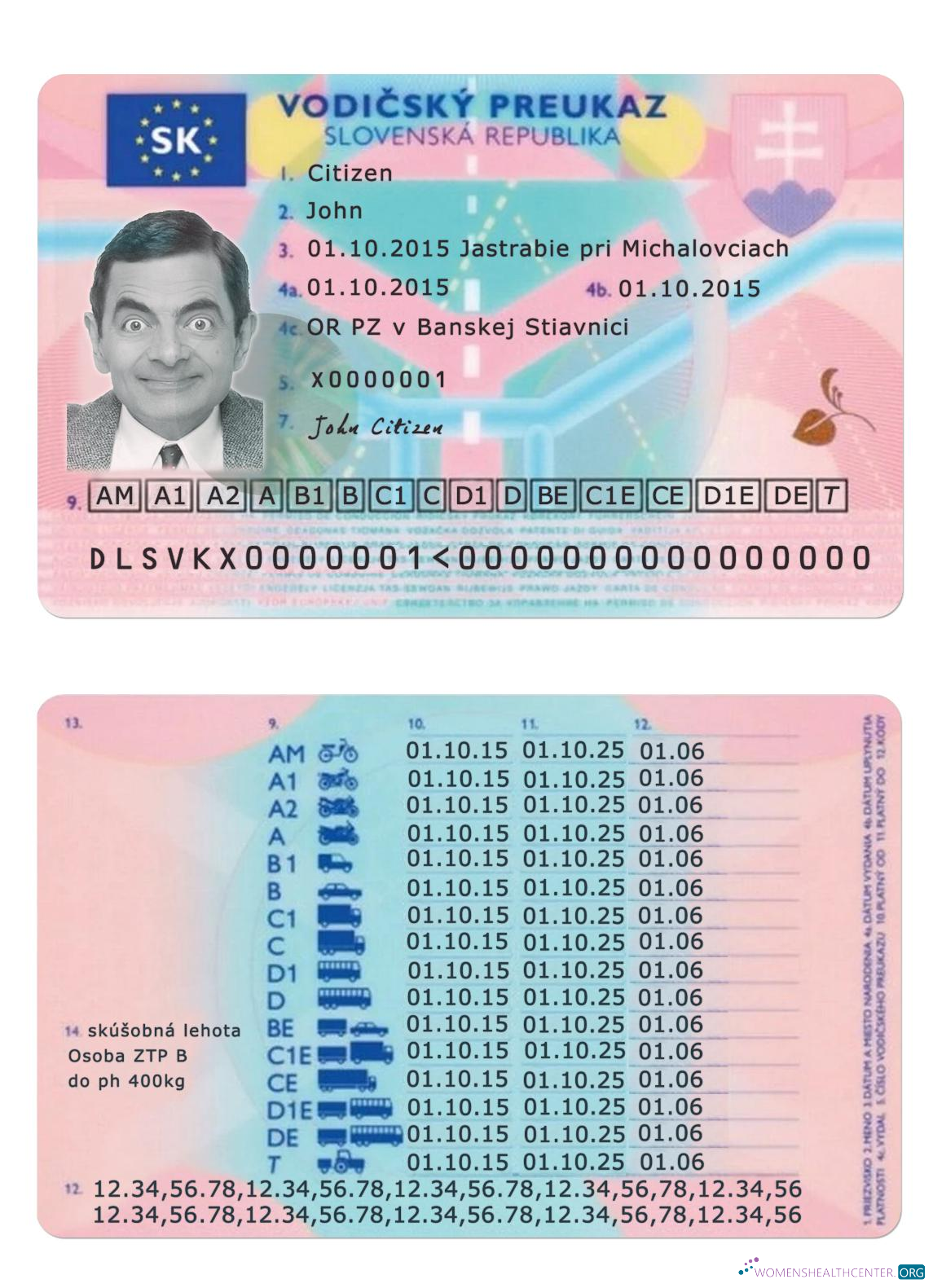 Télécharger Slovaquie Driving License aperçu