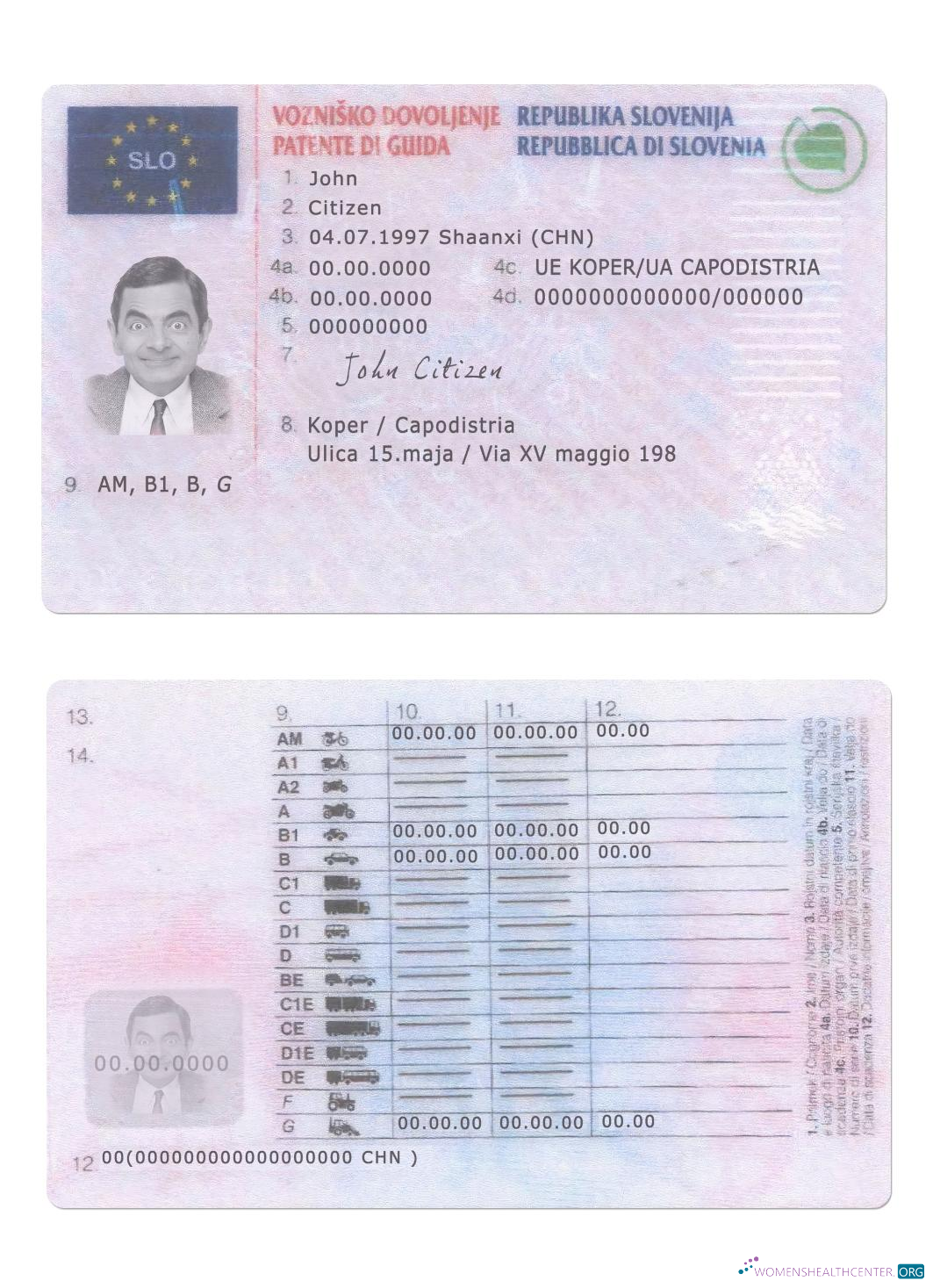 Télécharger Slovénie Driving License aperçu