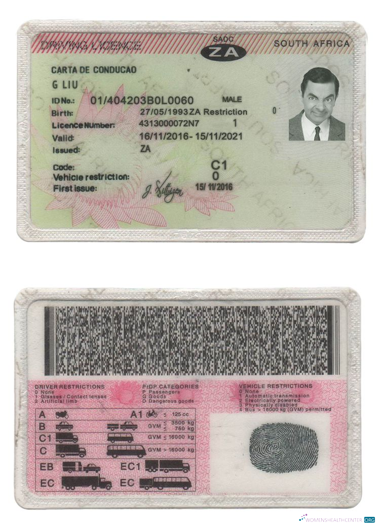Télécharger Afrique Du Sud Driving License aperçu