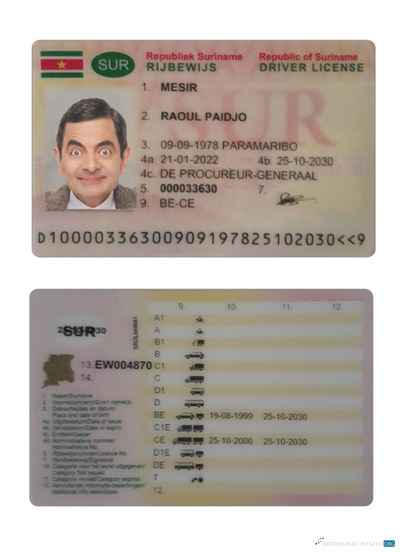 Télécharger Suriname Driving License 2022 Présent modèle