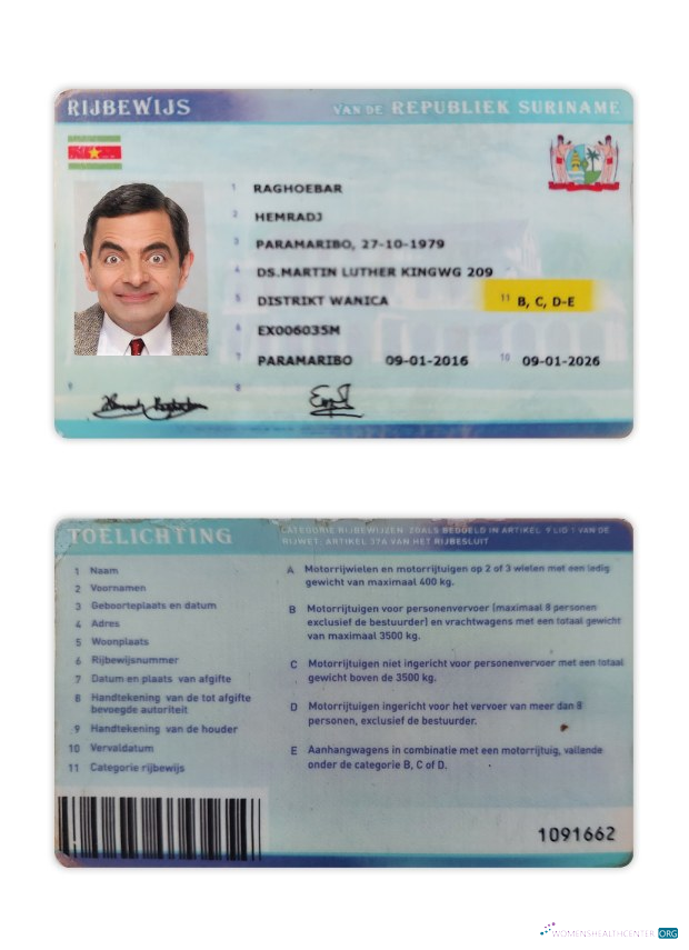 Télécharger Suriname Driving License aperçu