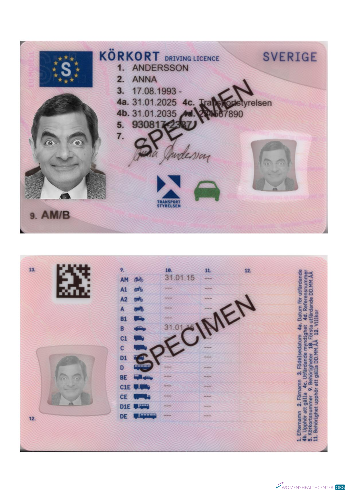 Télécharger Suède Driving License 2025 Présent aperçu