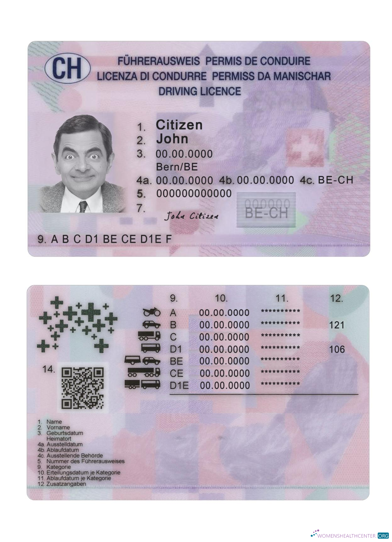 Télécharger Suisse Driving License 2023 Présent design
