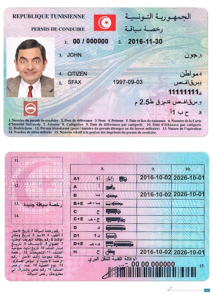 Télécharger Tunisie Driving License aperçu