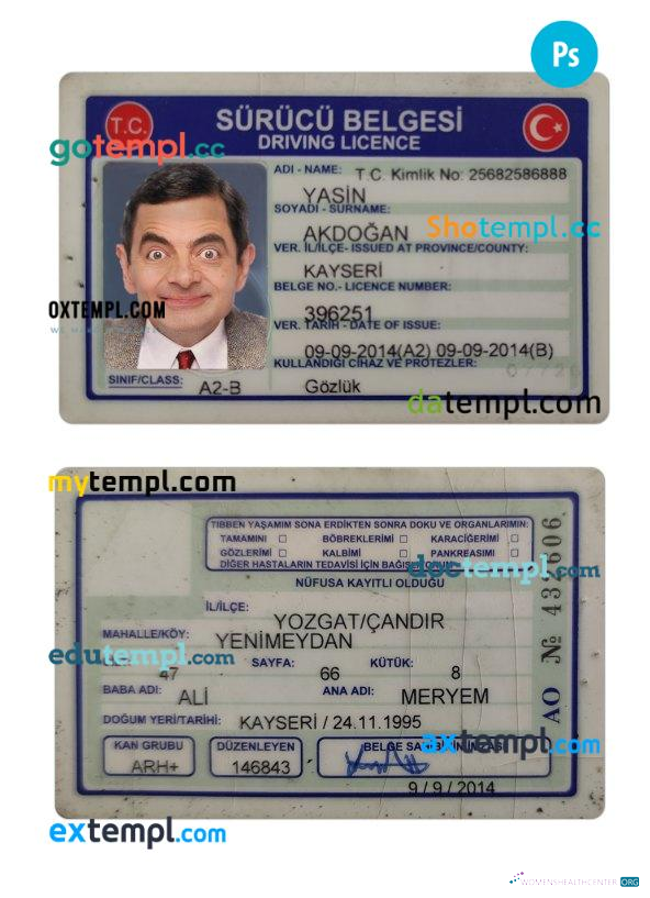Télécharger Turquie Driving License 2014 Présent modèle