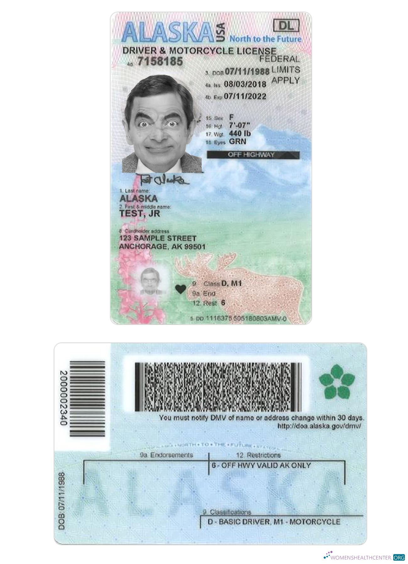 Télécharger USA Alaska Under 21 Driving License aperçu