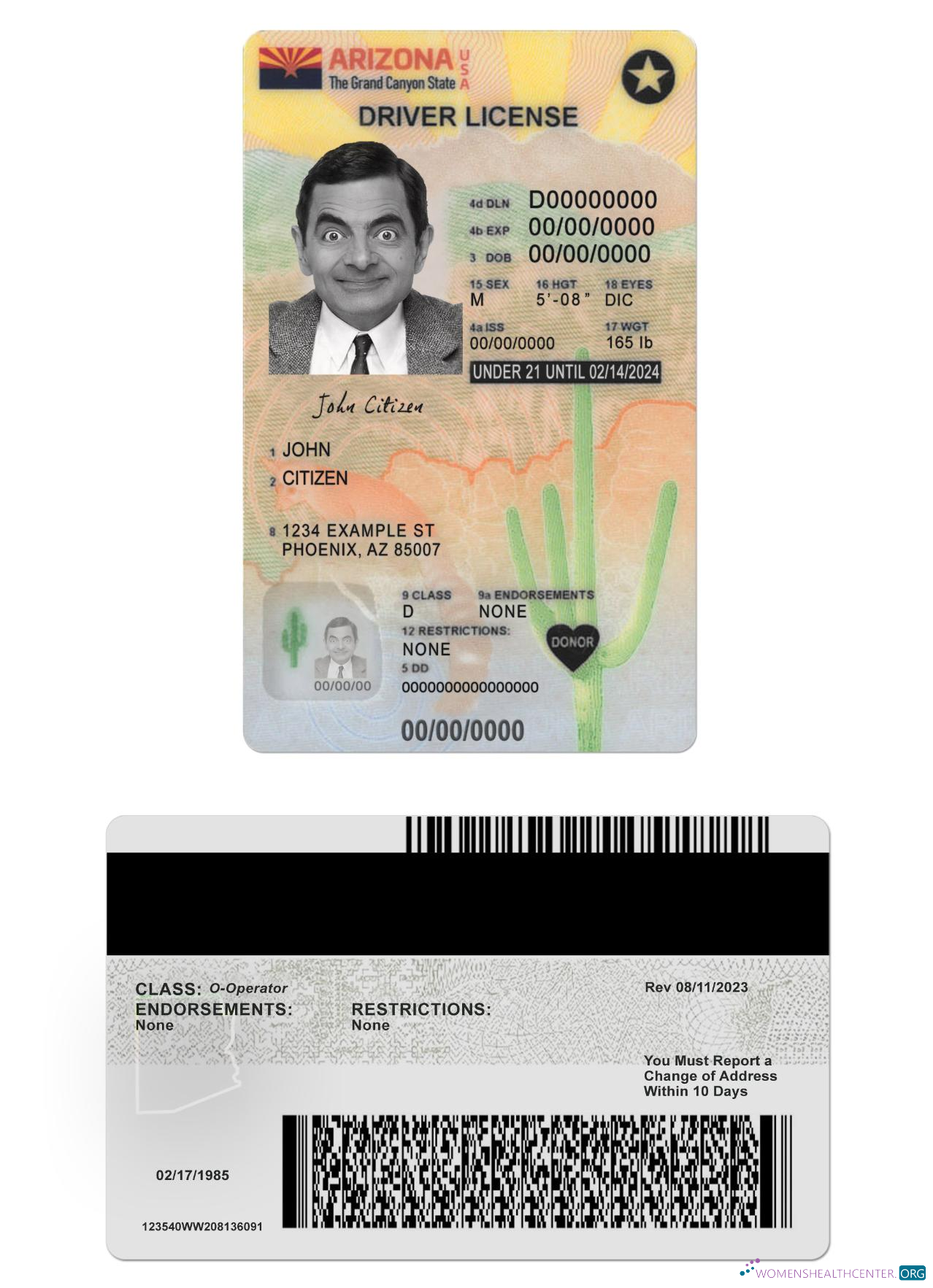 Télécharger USA Arizona Driving License Under 21 Version 2 échantillon