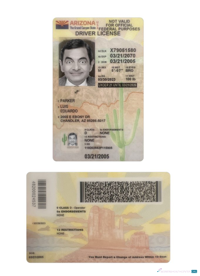 Télécharger USA Arizona Under 21 Driving License 2023 Présent design