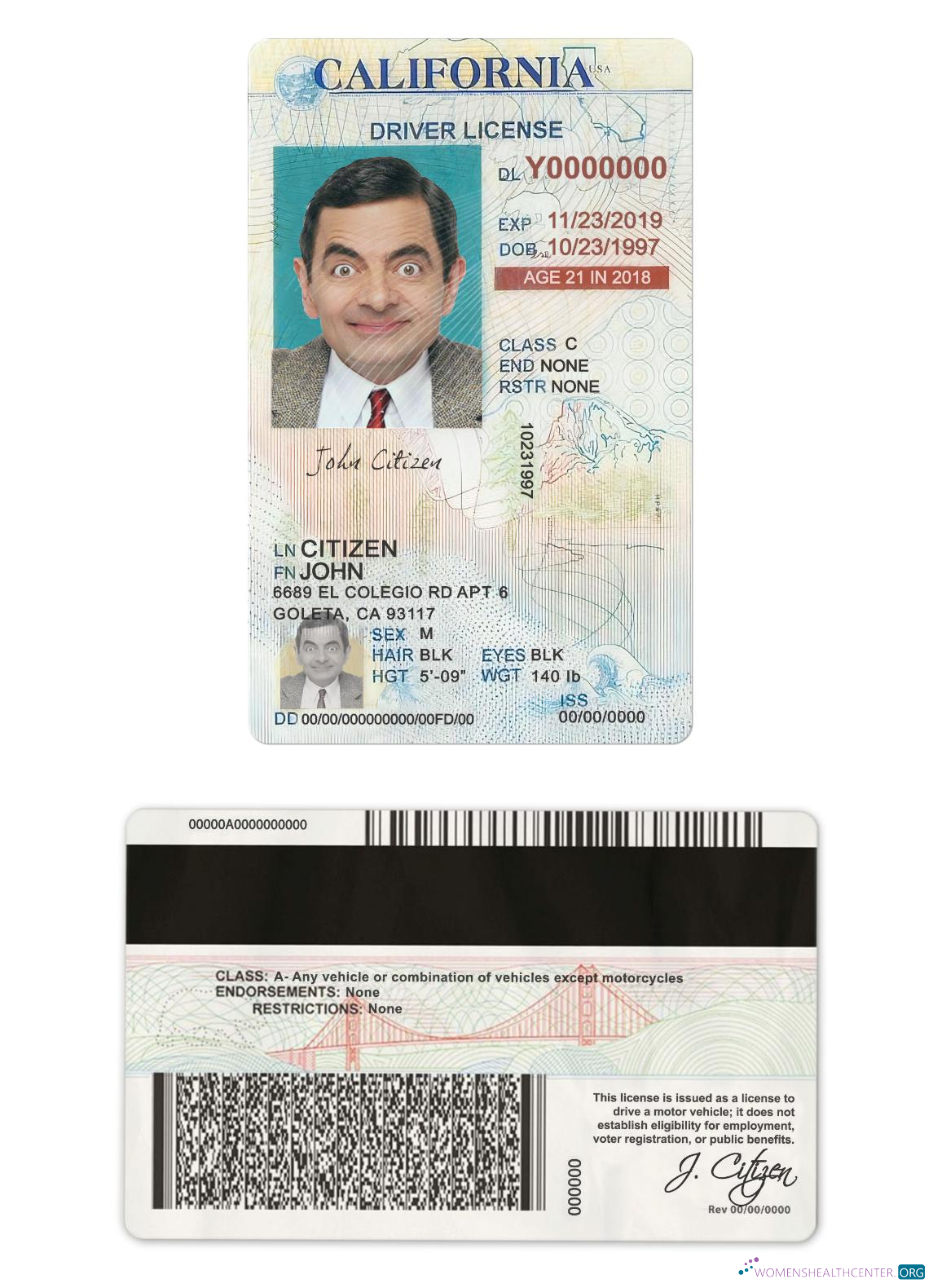 Télécharger USA California Driving License Under 21 design